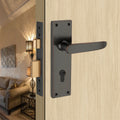 Lever Handle.